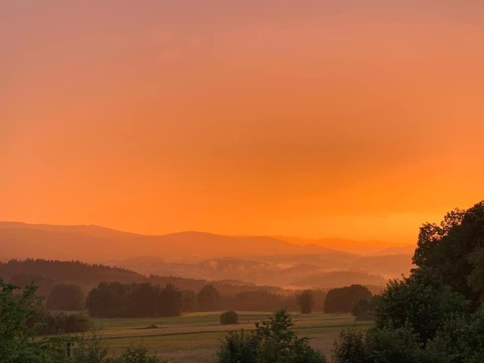 Burggasthof Weissenstein Regen Exteriör bild